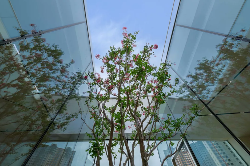 亚洲必赢(股份)有限公司官网